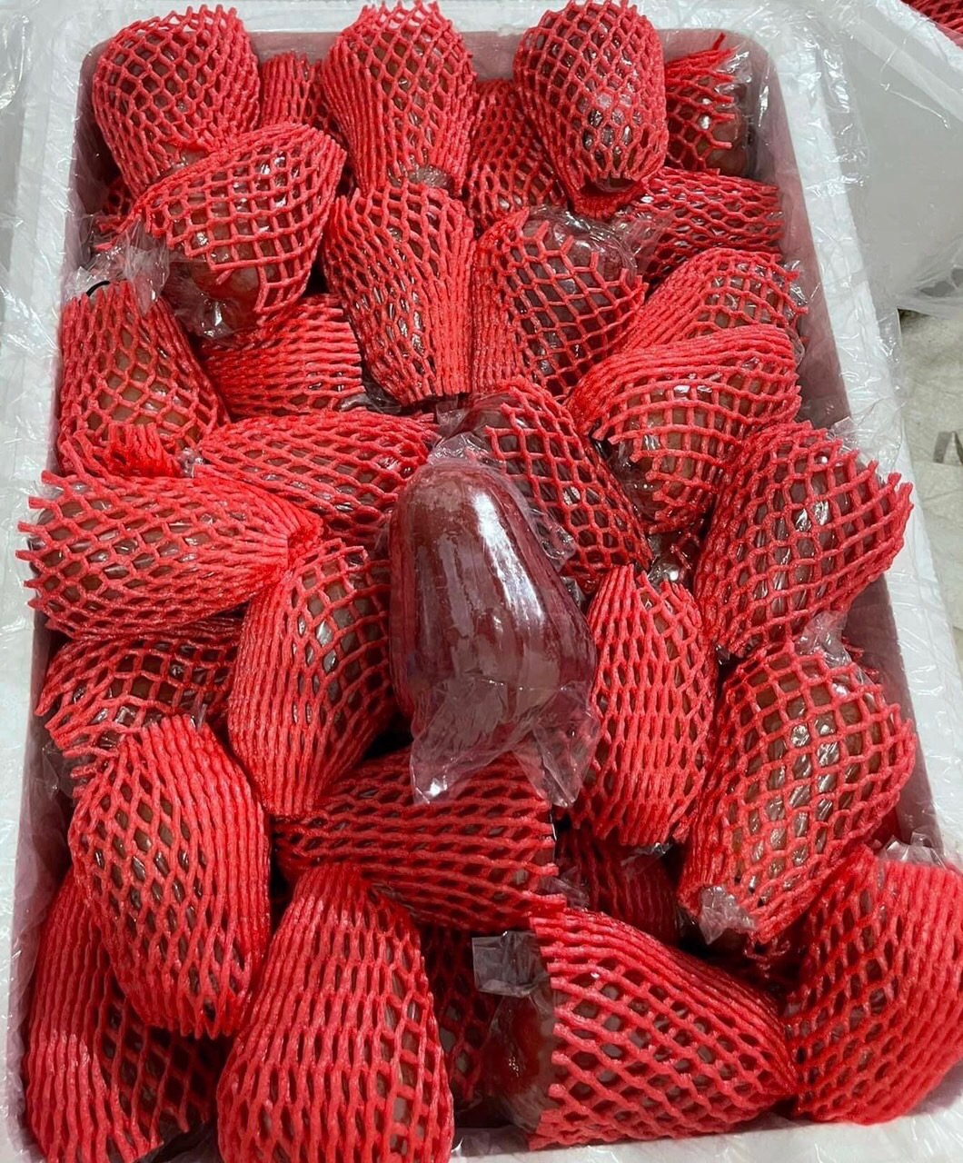 https://dragon-vietnam.com/IMG_0590 (1)